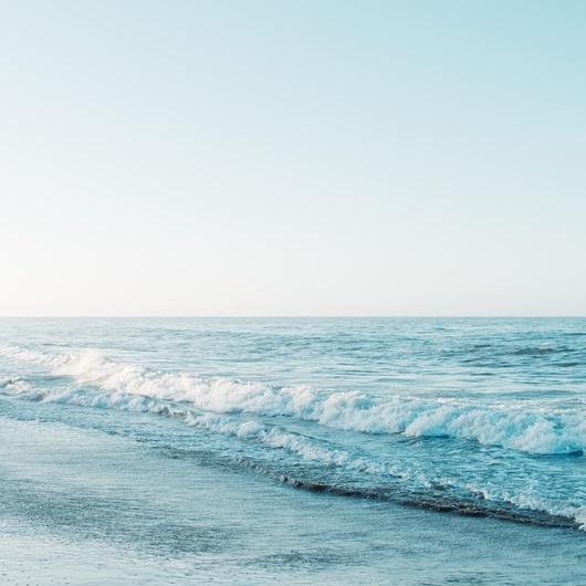 新卒者の志望動機の注意点